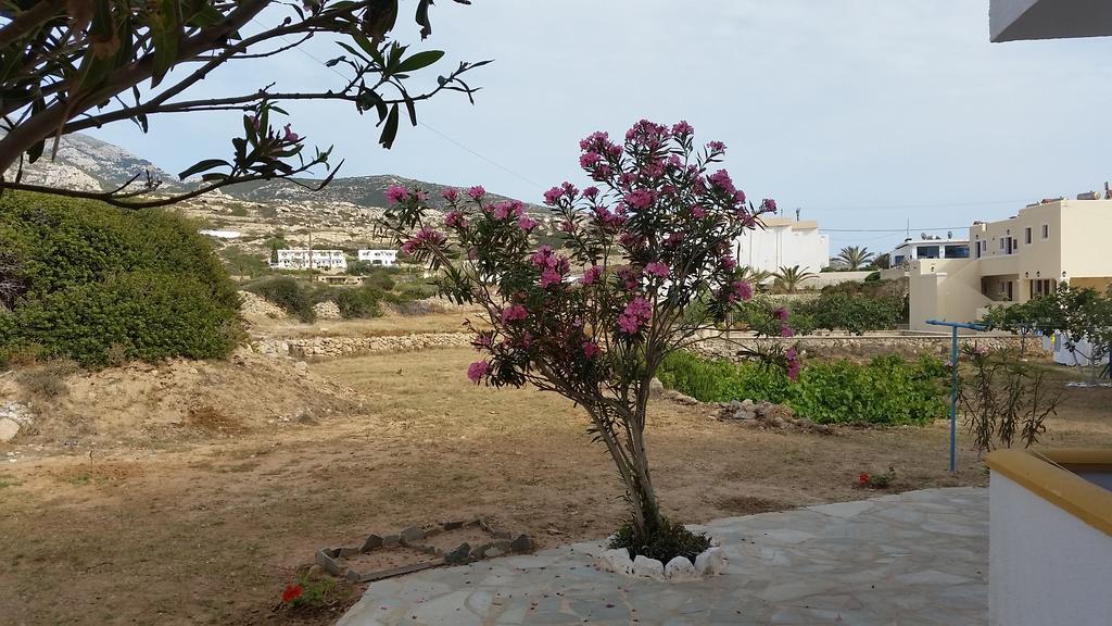 Aegean Sea Appartement Lefkos  Buitenkant foto